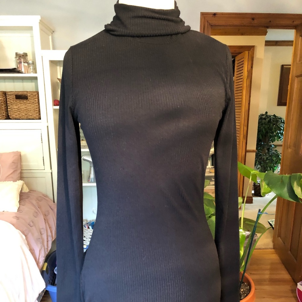 Turtleneck dress (NWT!!)